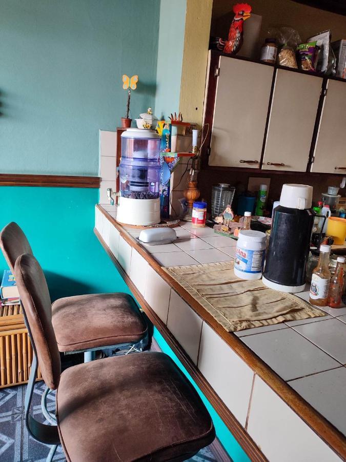 The Cozy Cactus House B&B Cartago Centro English Spoken Exteriör bild